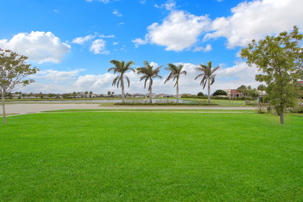 Community green space lined with palm trees